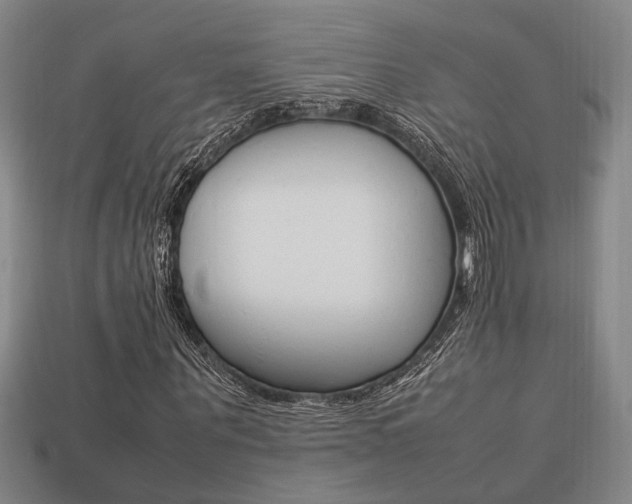 X0000113780867200909231039