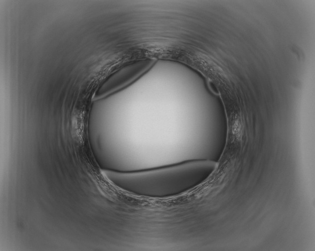 X0000113780868200909231039
