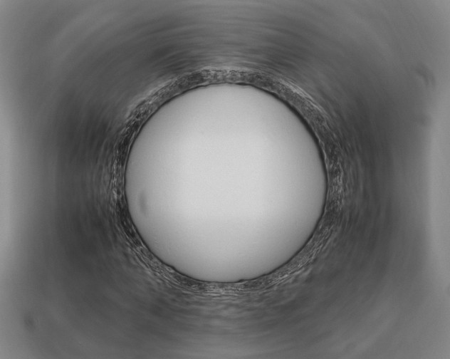 X0000113780870200909231039
