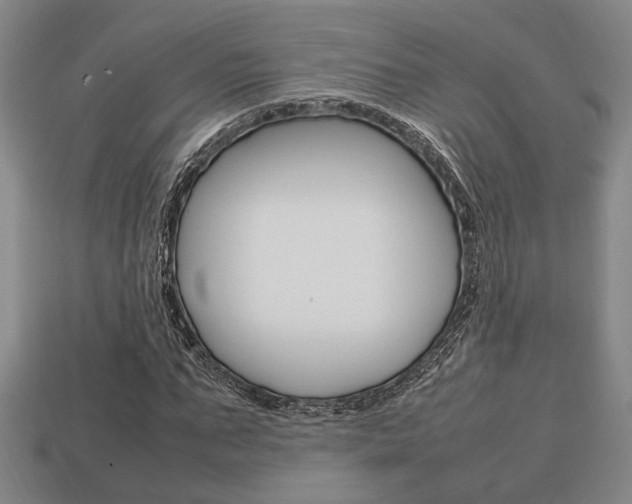 X0000113780871200909231039