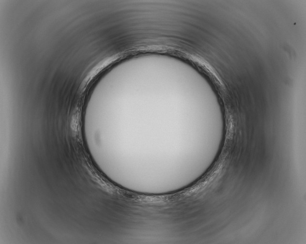 X0000113780874200909231039