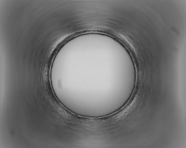 X0000113780875200909231039