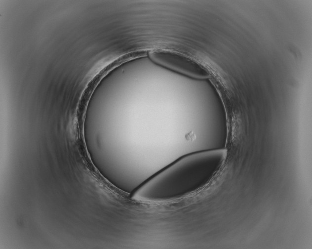 X0000113780876200909231039