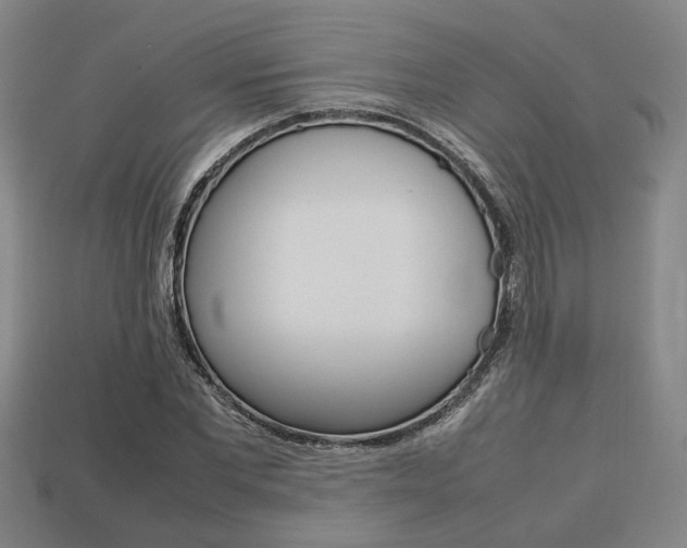 X0000113780877200909231039