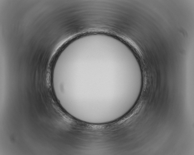 X0000113780878200909231039