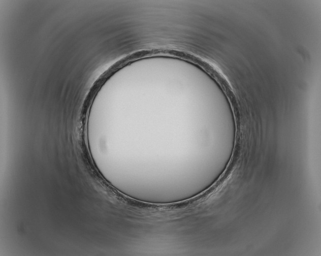 X0000113780879200909231039