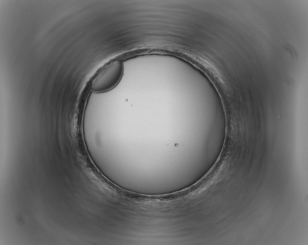 X0000113780880200909231039
