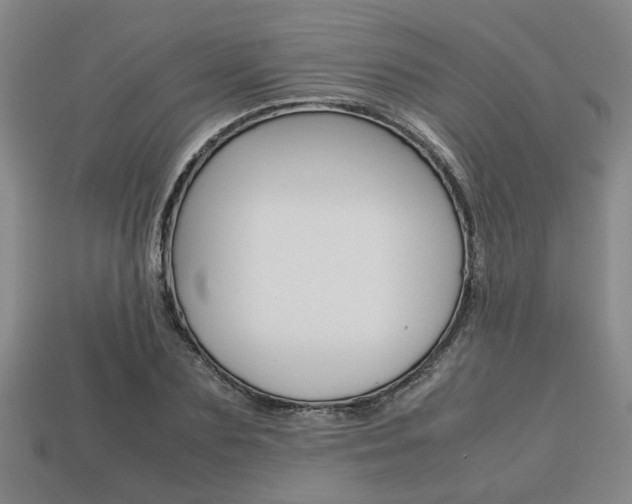 X0000113780883200909231039