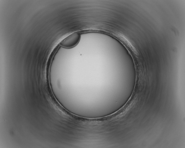 X0000113780884200909231039