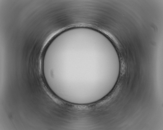 X0000113780886200909231039