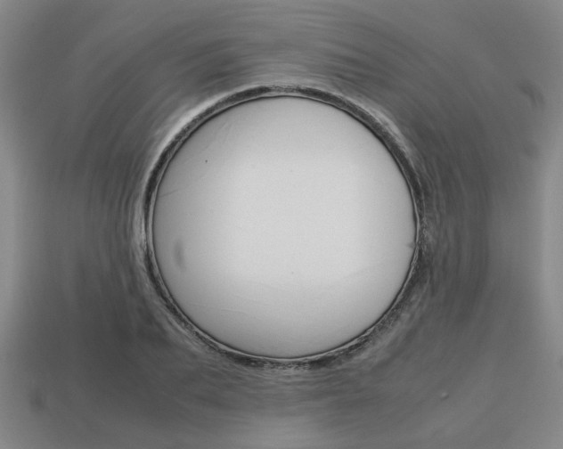 X0000113780887200909231039