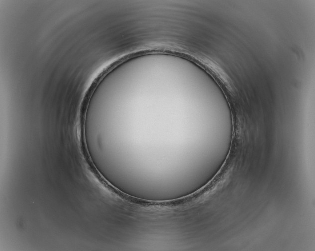 X0000113780888200909231039