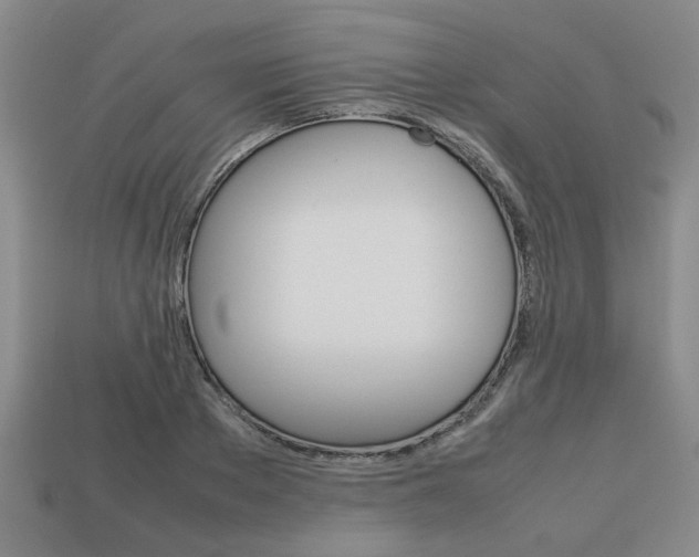 X0000113780889200909231039