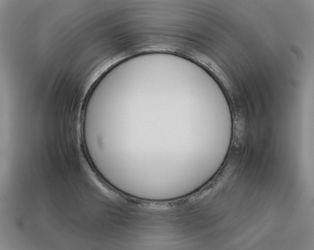 X0000113780890200909231039