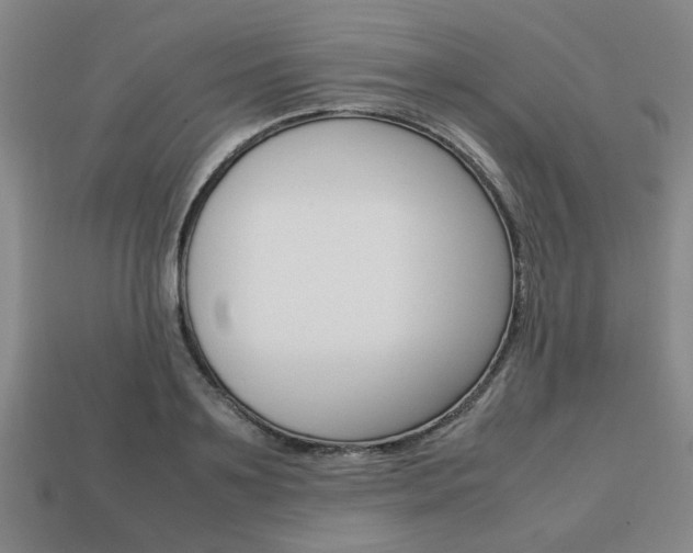 X0000113780891200909231039