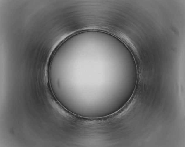 X0000113780892200909231039