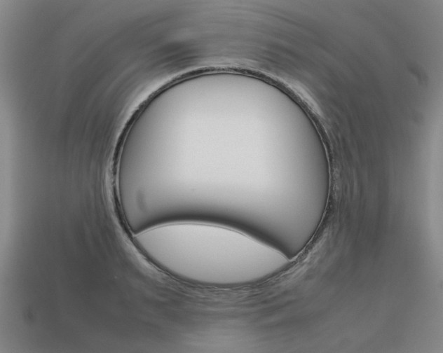 X0000113780895200909231038