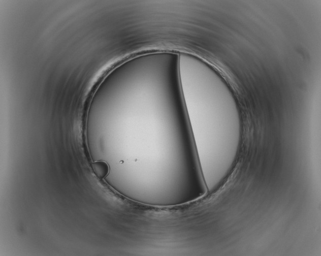 X0000113780896200909231038