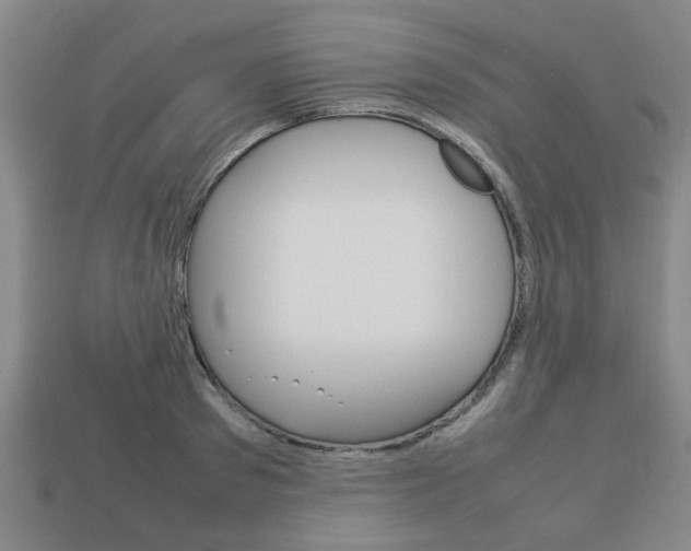 X0000113780897200909231038