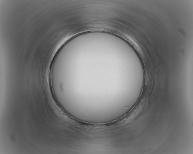 X0000113780899200909231038