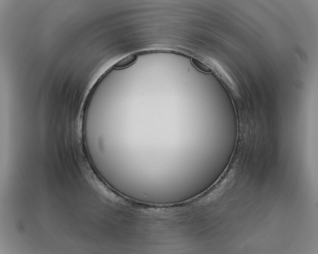 X0000113780900200909231038