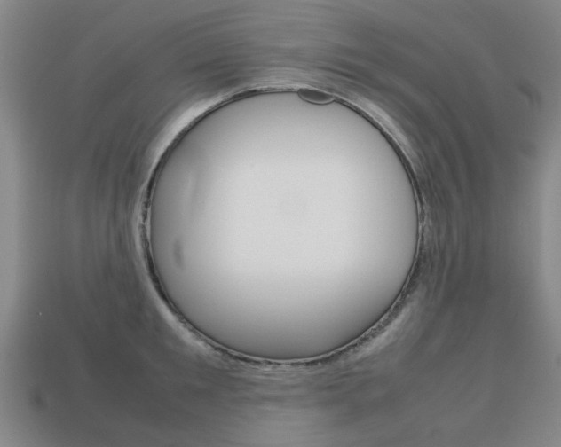 X0000113780901200909231038