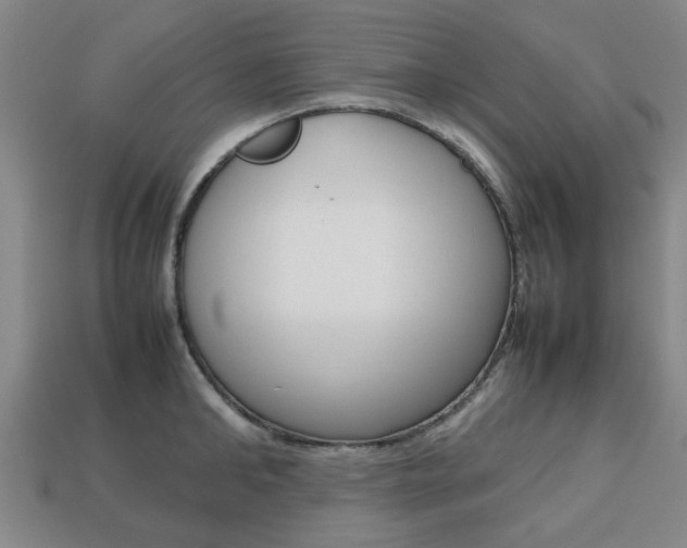 X0000113780902200909231038