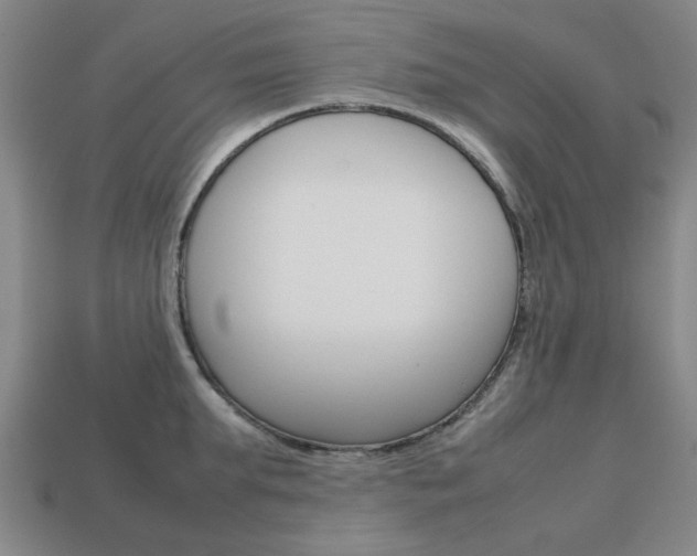 X0000113780903200909231038