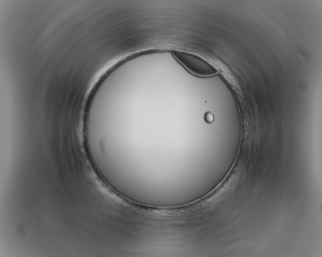 X0000113780904200909231038