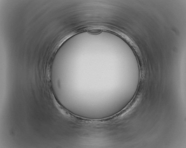 X0000113780905200909231038