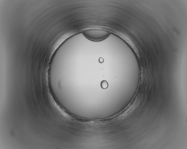 X0000113780906200909231038