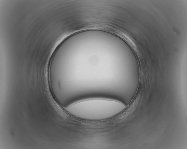 X0000113780907200909231038