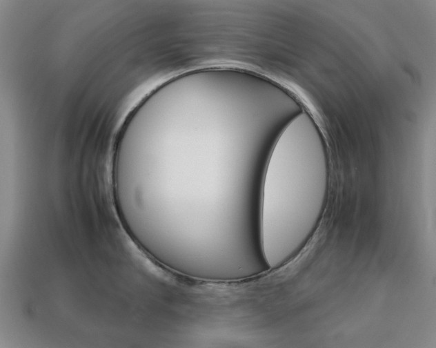 X0000113780910200909231038