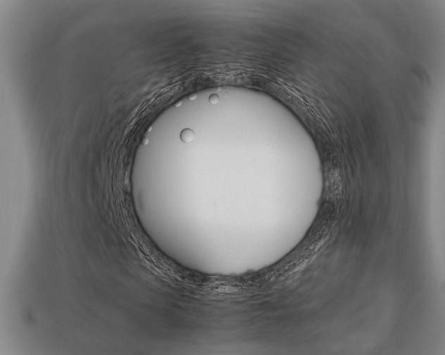X0000113780913200909231038