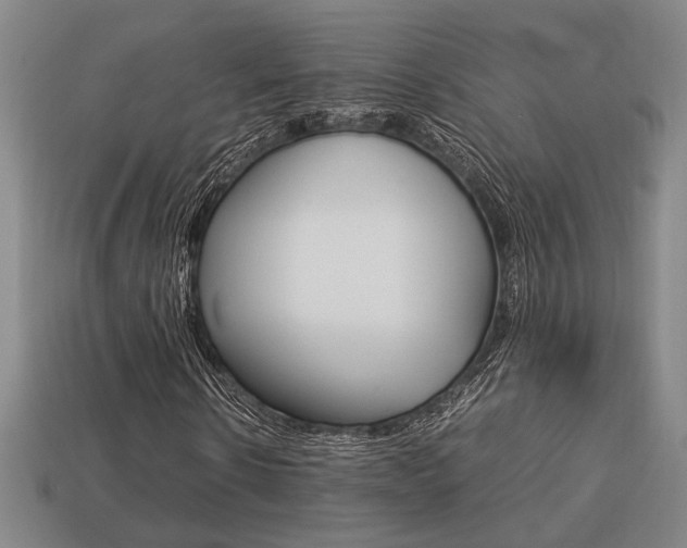 X0000113780914200909231038