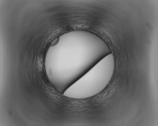 X0000113780915200909231038