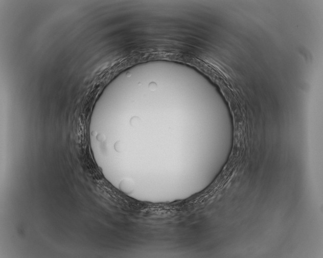 X0000113780917200909231038