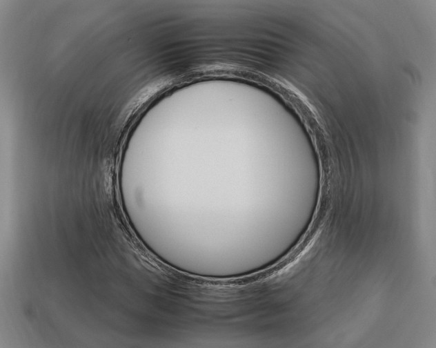 X0000113780921200909231038