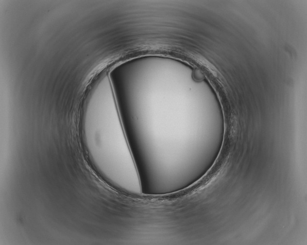 X0000113780922200909231038