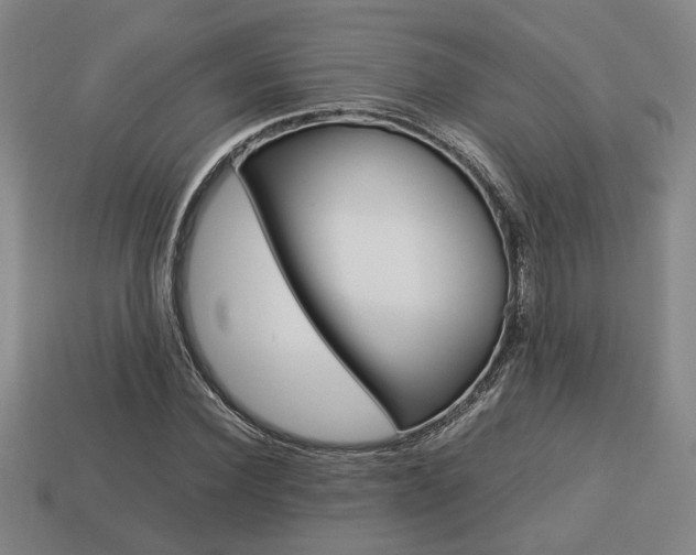 X0000113780924200909231038