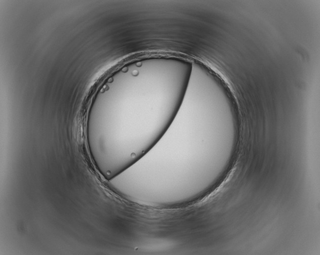 X0000113780925200909231038