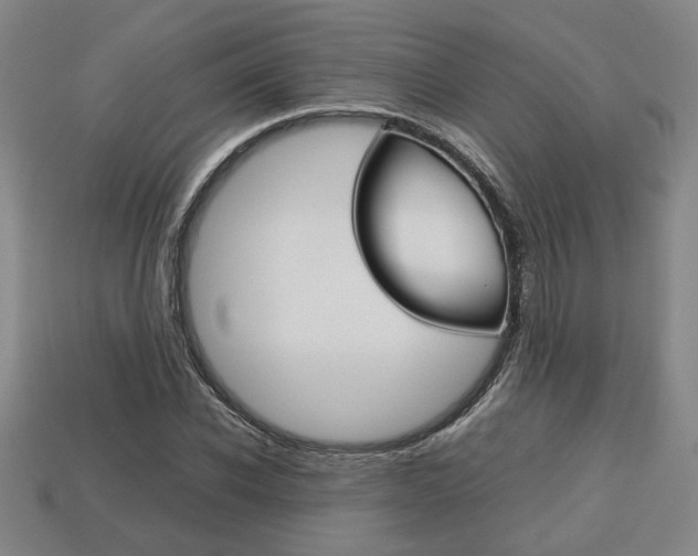 X0000113780926200909231038