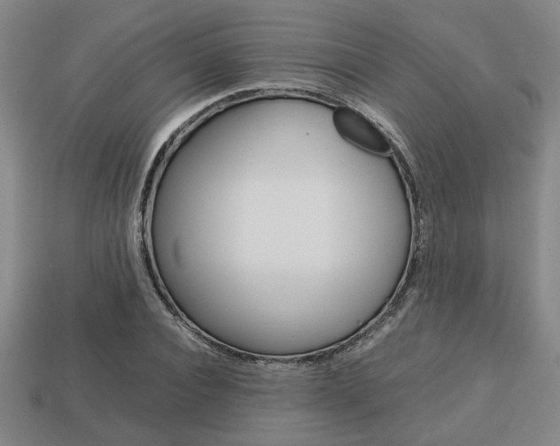 X0000113780928200909231038