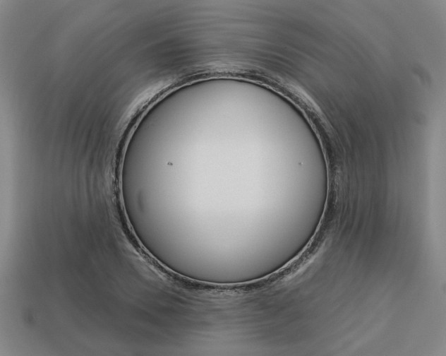 X0000113780930200909231038
