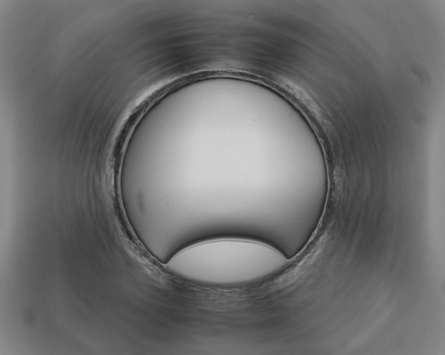 X0000113780931200909231038