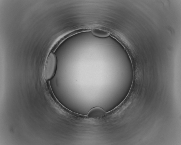 X0000113780932200909231038