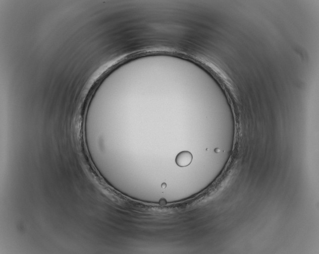 X0000113780933200909231038