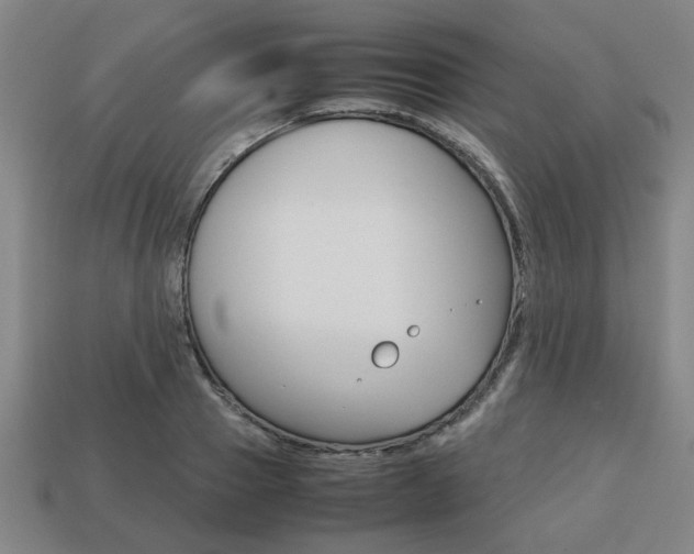 X0000113780937200909231038