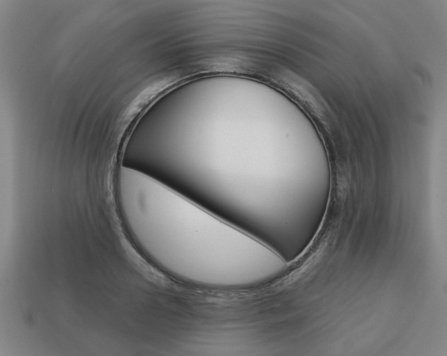 X0000113780938200909231038