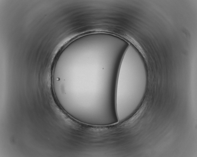 X0000113780939200909231038